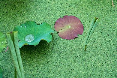 《天国：拯救》NS版仍未消失 或于明年正式发售